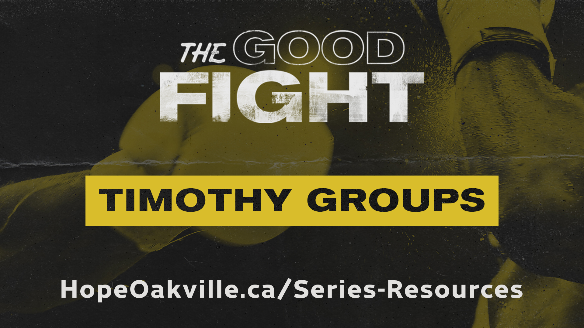 Sign Up for Timothy Groups
